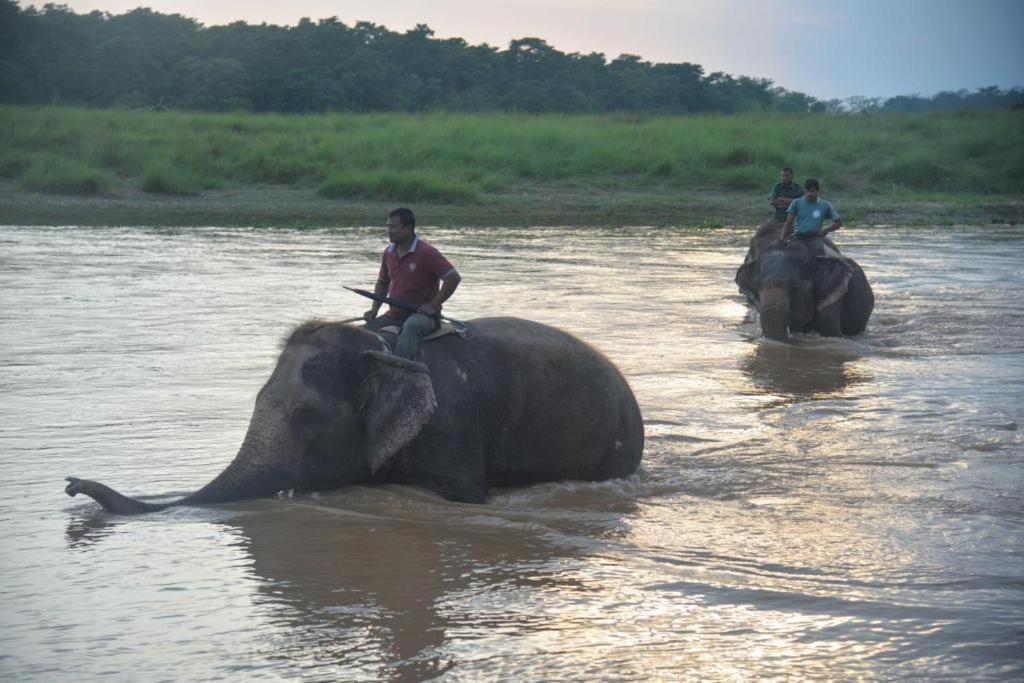 Hotel Greenland Safari Sauraha Kültér fotó