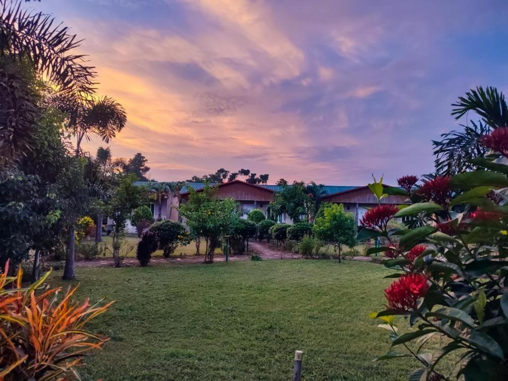 Hotel Greenland Safari Sauraha Kültér fotó